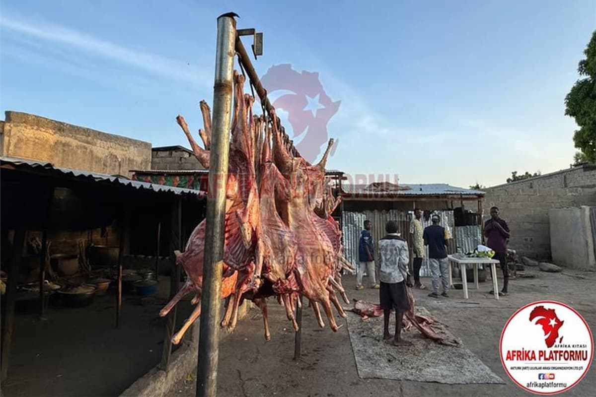 Afrika’da Adak, Akika ve Sadaka Kurbanları